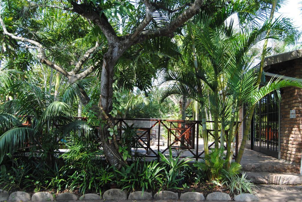African Dreamz Guest House Сент-Люсія Екстер'єр фото