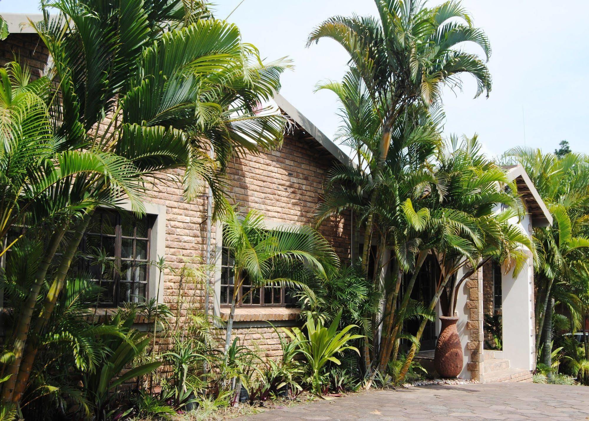 African Dreamz Guest House Сент-Люсія Екстер'єр фото
